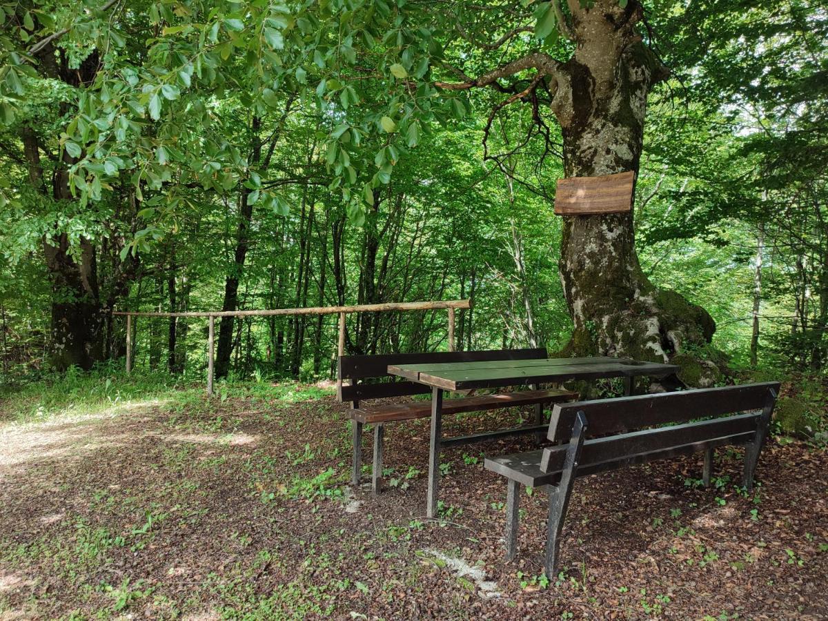 Holiday Home "Sleme" With Jacuzzi, Big Garden And Arbor With Fireplace Skrad Екстериор снимка