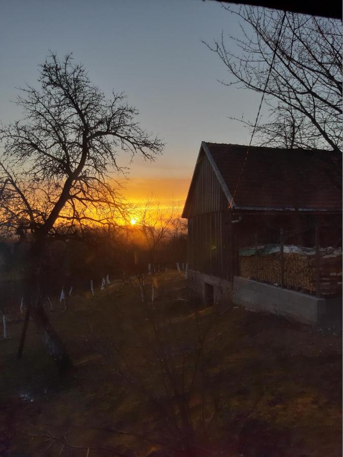 Holiday Home "Sleme" With Jacuzzi, Big Garden And Arbor With Fireplace Skrad Екстериор снимка
