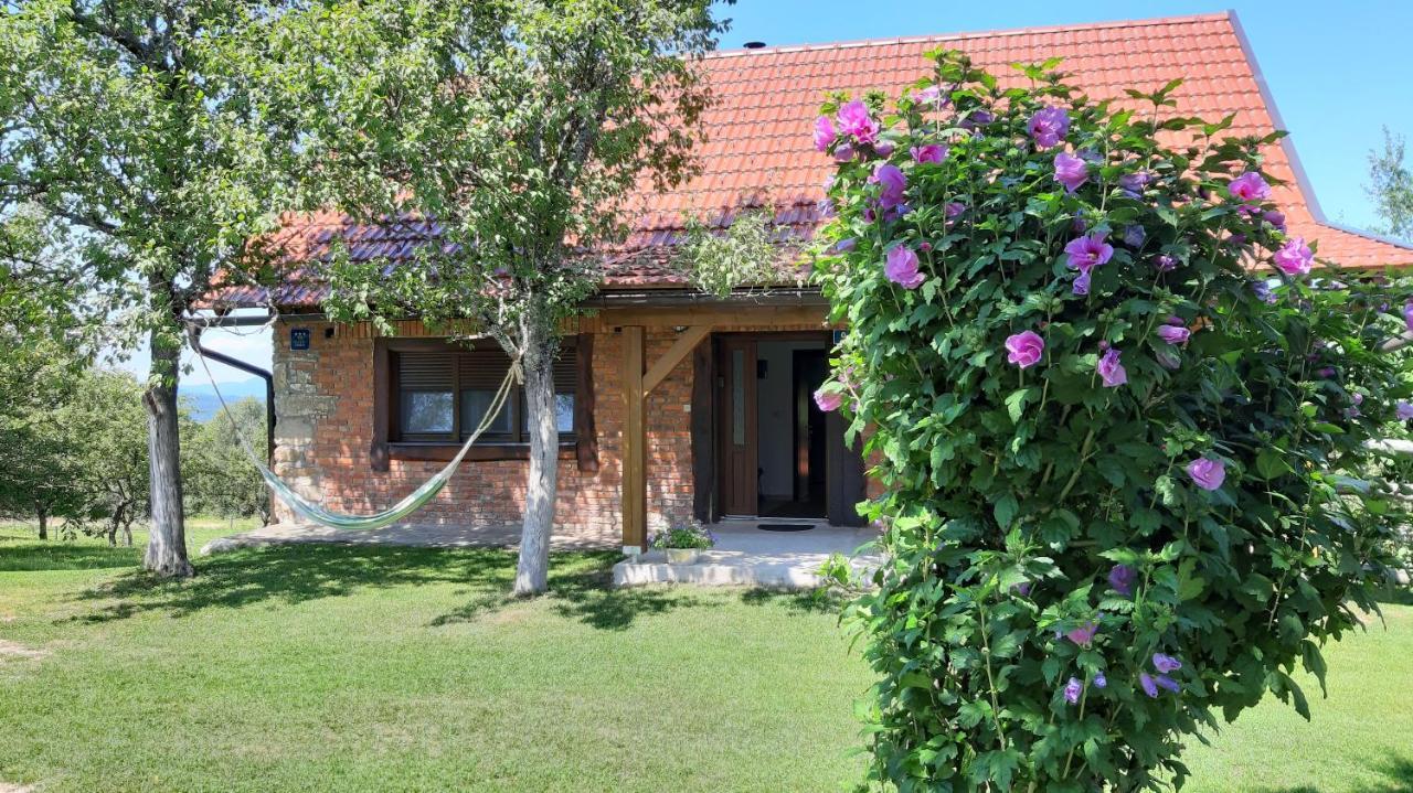 Holiday Home "Sleme" With Jacuzzi, Big Garden And Arbor With Fireplace Skrad Екстериор снимка